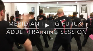 Meridian Kung Fu Adult Training Session
