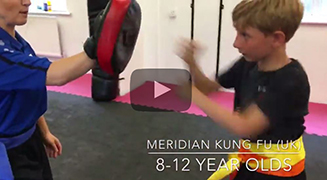 Junior 8-12 year olds Meridian Kung Fu